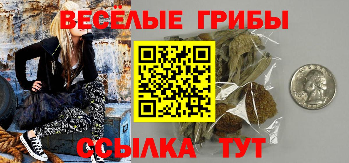 Галлюциногенные грибы GOLDEN TEACHER Нефтекумск