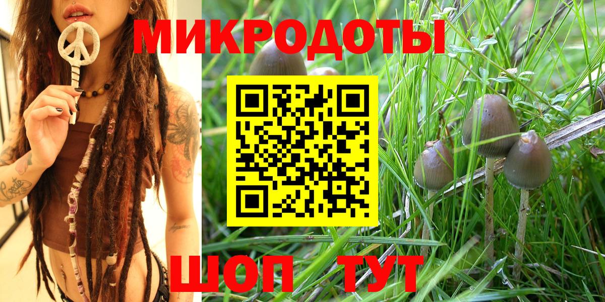 Псилоцибиновые грибы Psilocybine cubensis  что такое   Вход с VPN  Нефтекумск  Псилоцибиновые грибы прущие грибы 